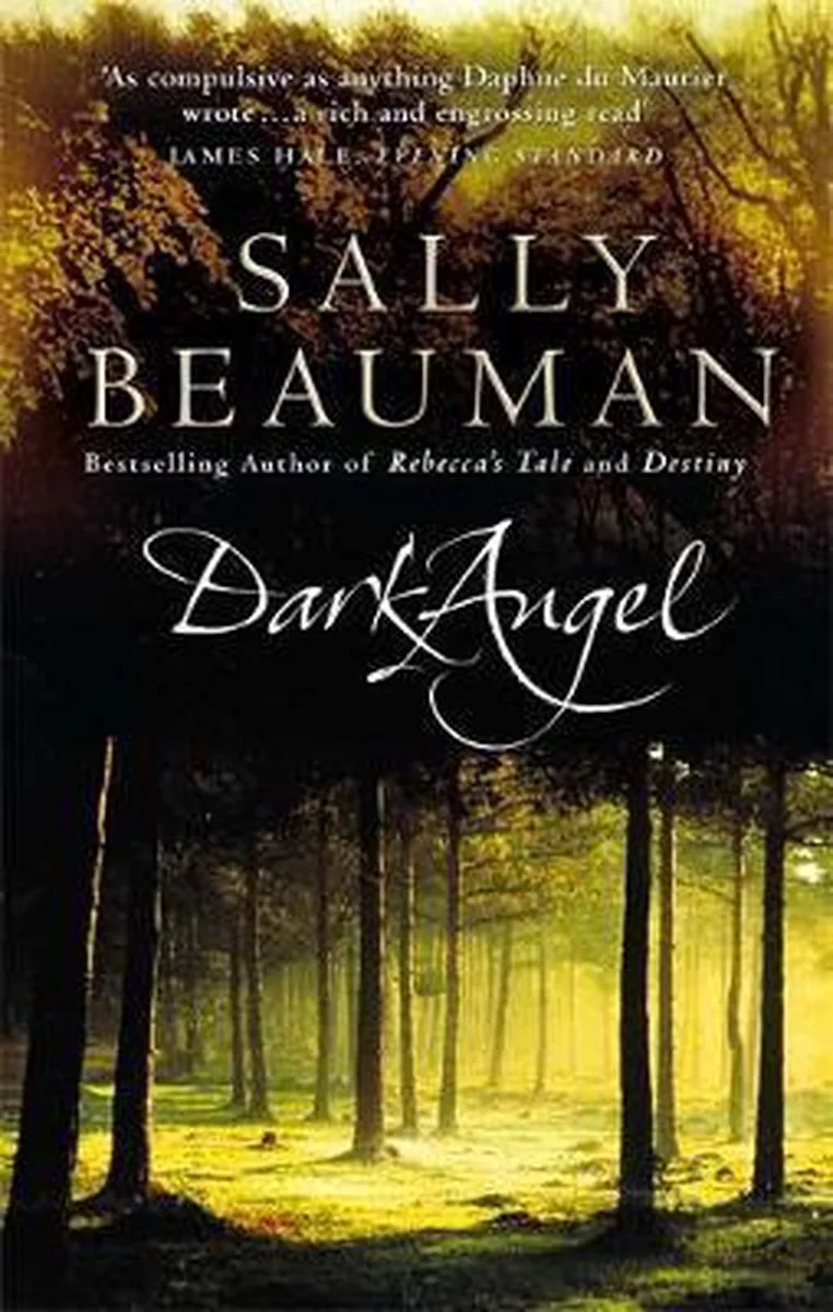 Dark Angel van Sphere – boekfoto