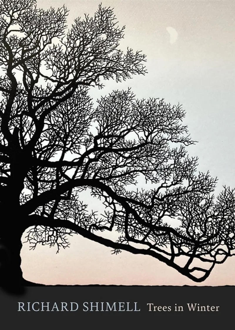 Trees in Winter de Sphere – photo du livre