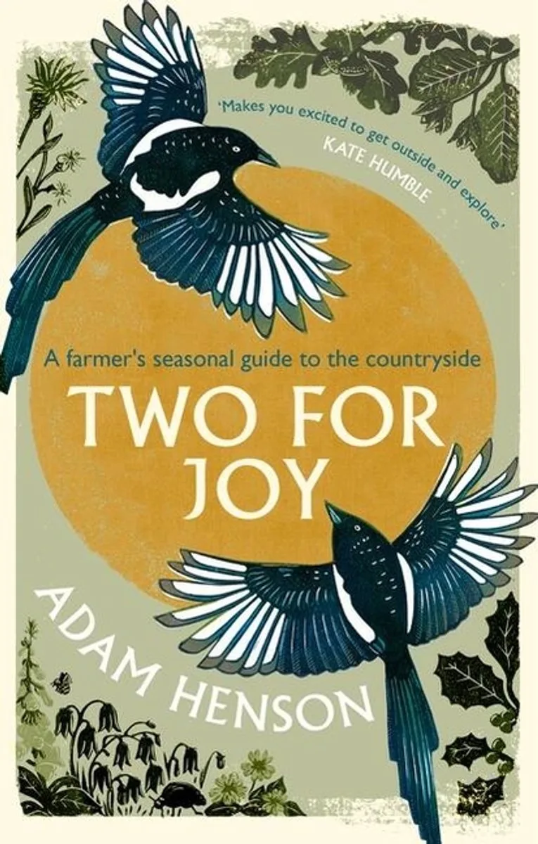 Two for Joy van Sphere – boekfoto