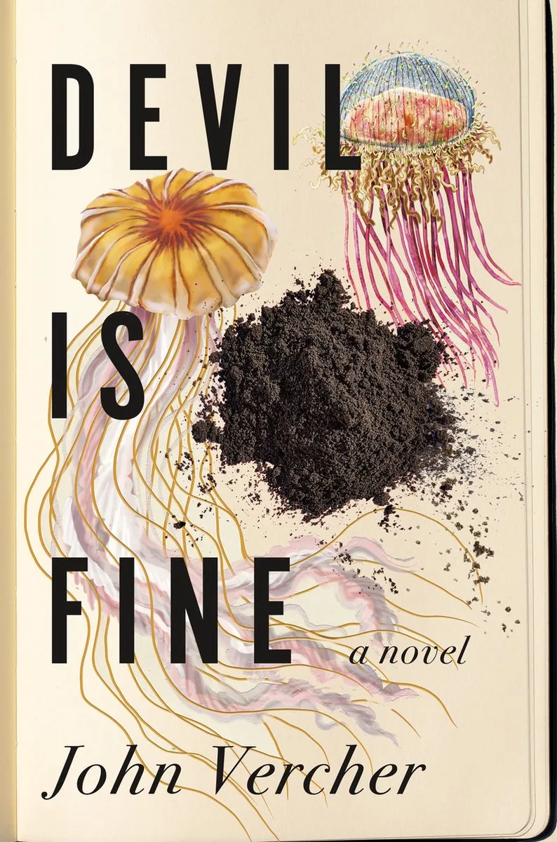 Devil Is Fine von St. Martin's Press – Buchfoto