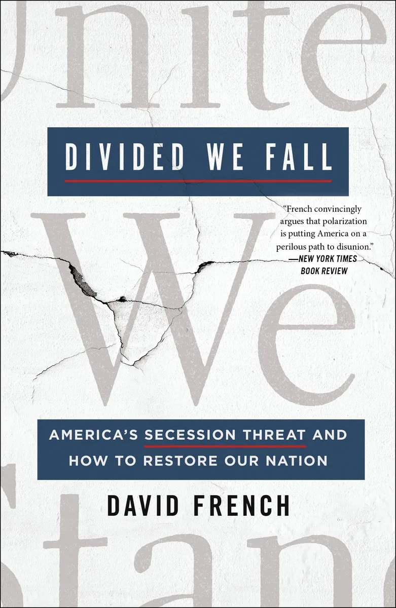 Divided We Fall van St. Martin's Press – boekfoto