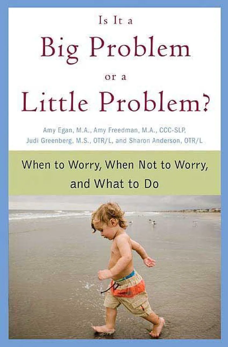 Is It a Big Problem or a Little Problem? fra St. Martin's Press – billede af bogen