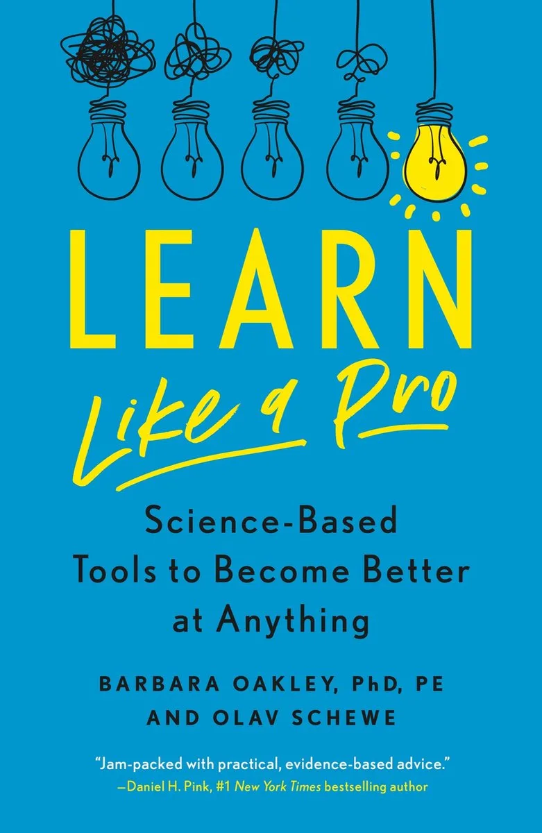 Learn Like a Pro fra St. Martin's Press – billede af bogen