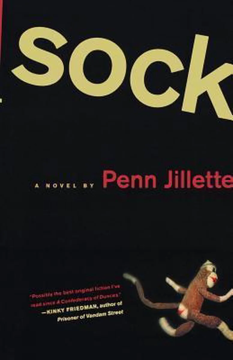 Sock von St. Martin's Press – Buchfoto