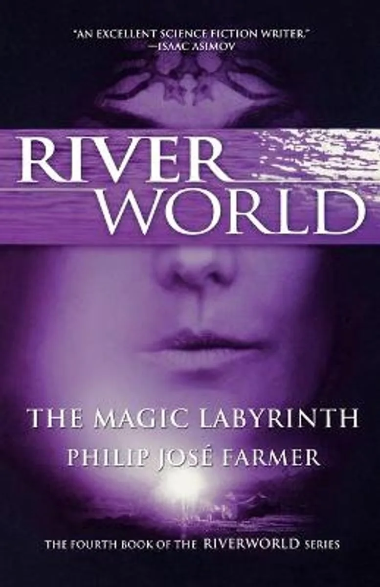 The Magic Labyrinth von St. Martin's Press – Buchfoto