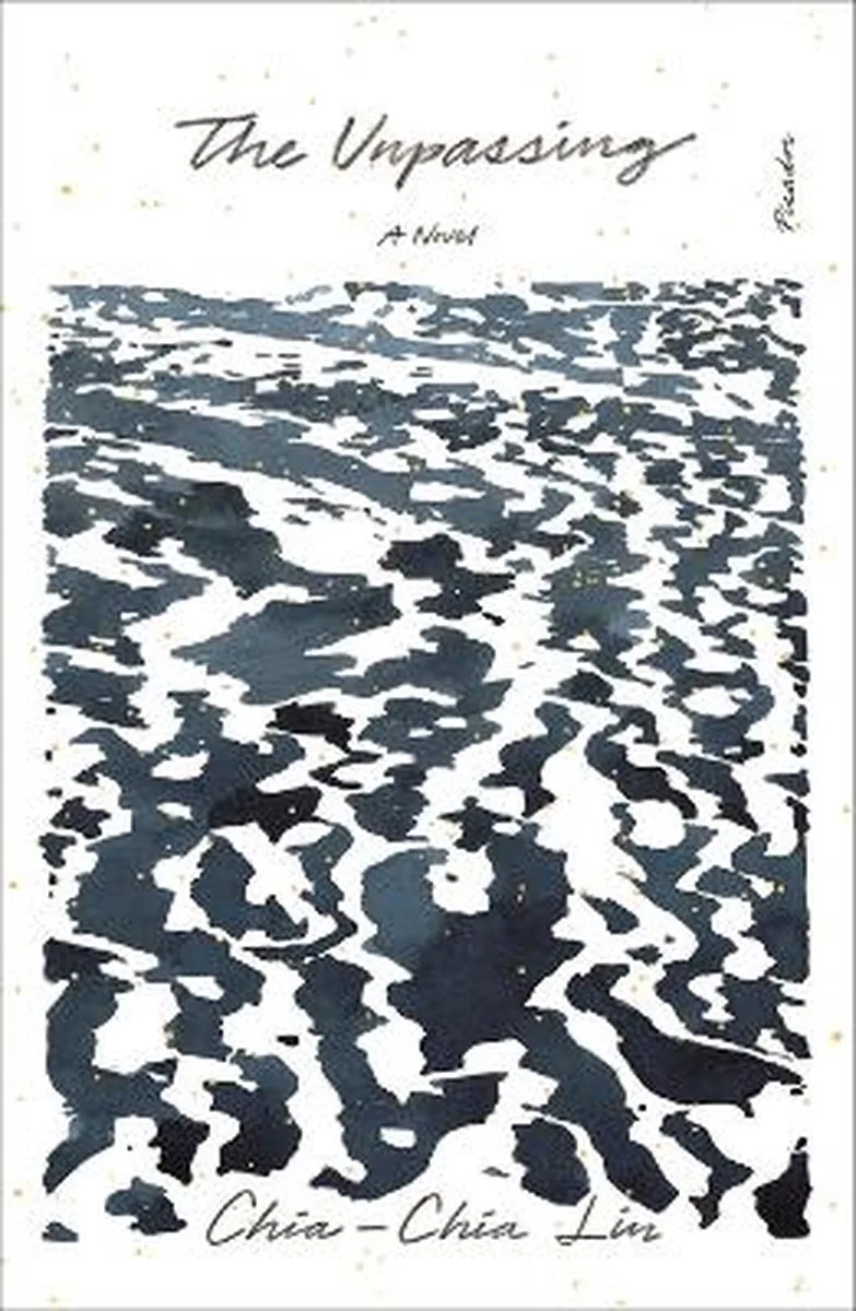 Unpassing, The A Novel von St. Martin's Press – Buchfoto