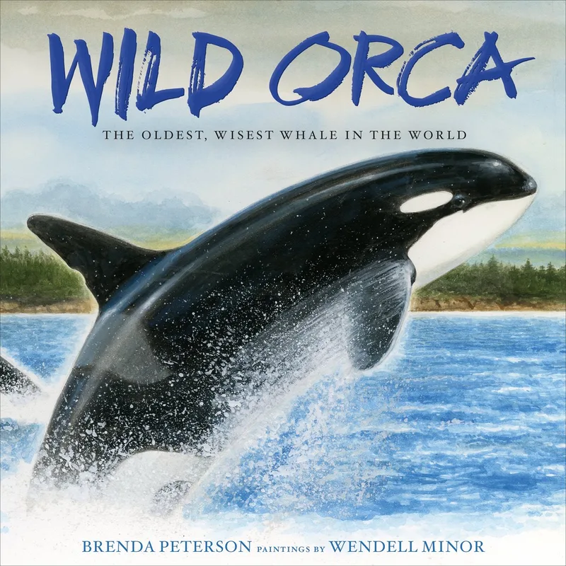 Wild Orca von St. Martin's Press – Buchfoto