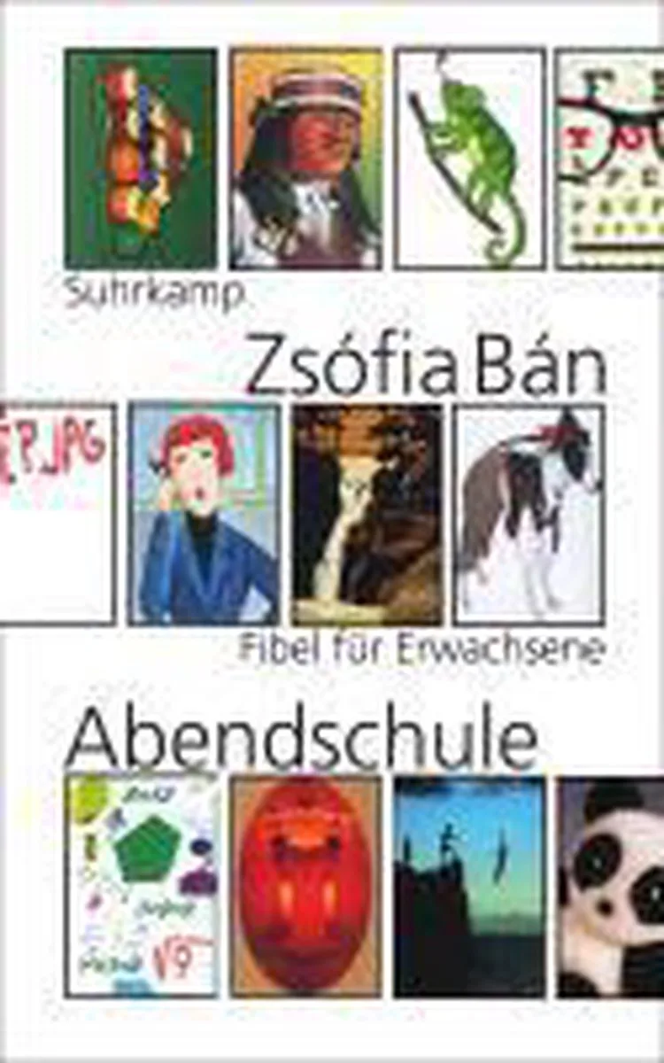 Abendschule von Suhrkamp – Buchfoto
