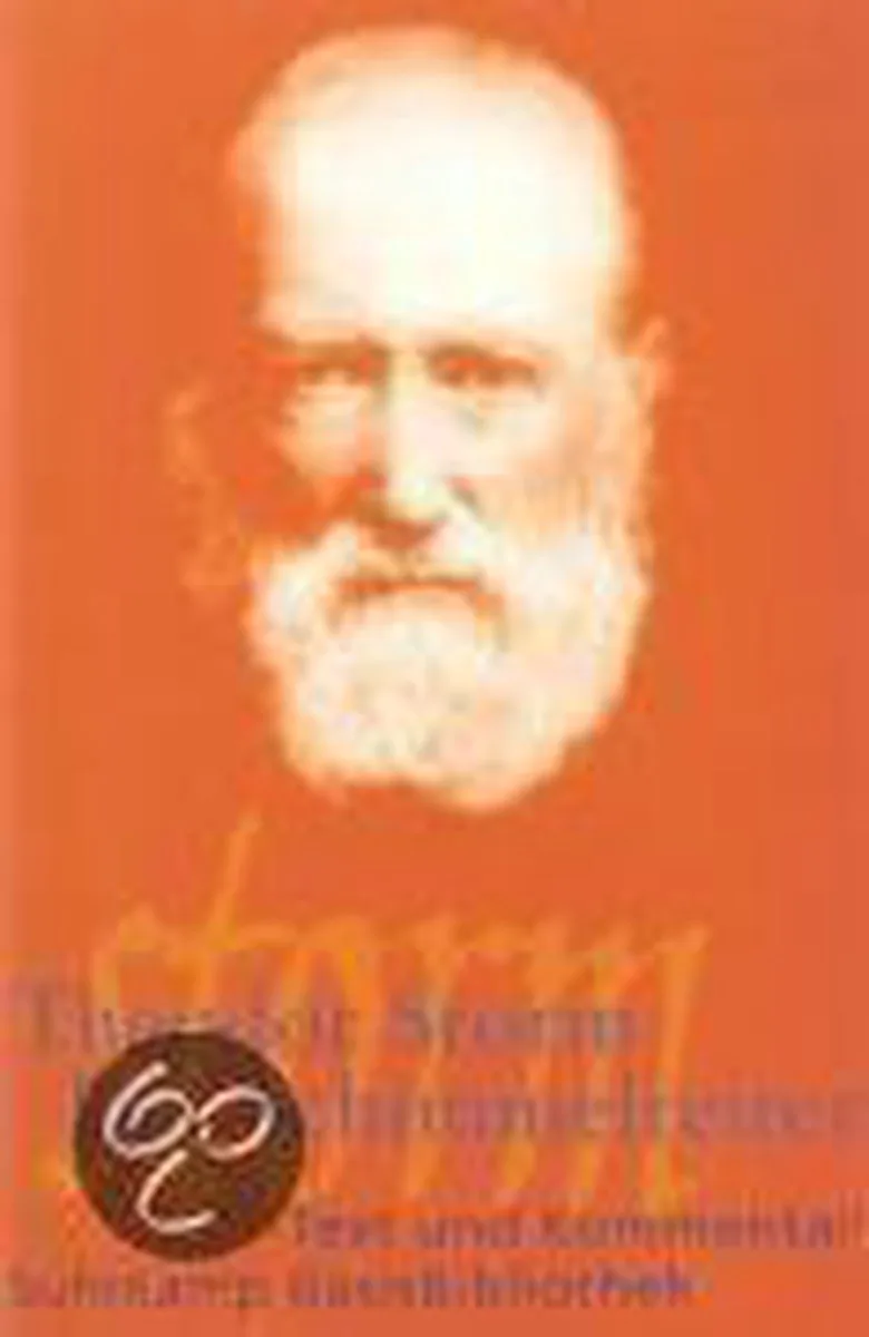 Der Schimmelreiter von Suhrkamp – Buchfoto