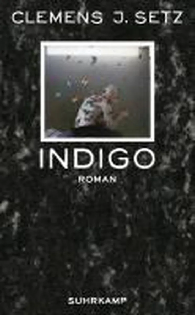 Indigo van Suhrkamp – boekfoto