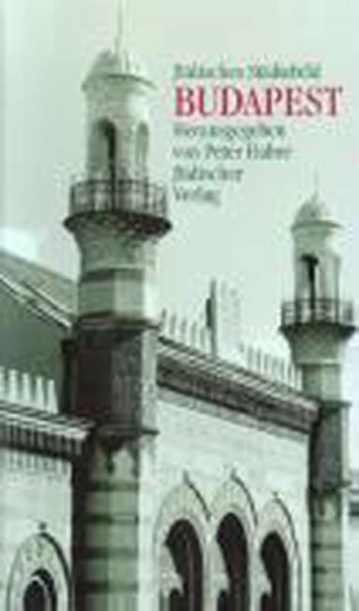 Jüdisches Städtebild Budapest von Suhrkamp – Buchfoto