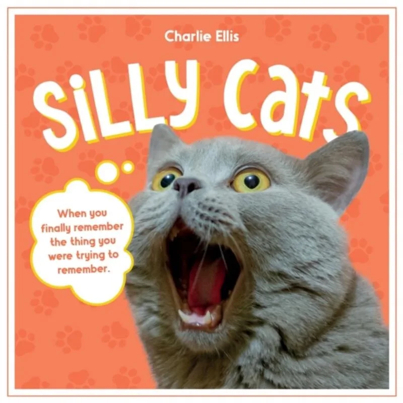 Silly Cats von Summersdale – Buchfoto
