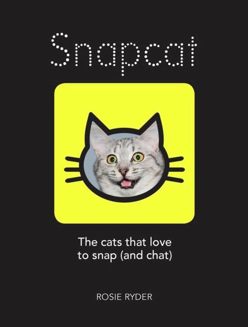 Snapcat von Summersdale – Buchfoto