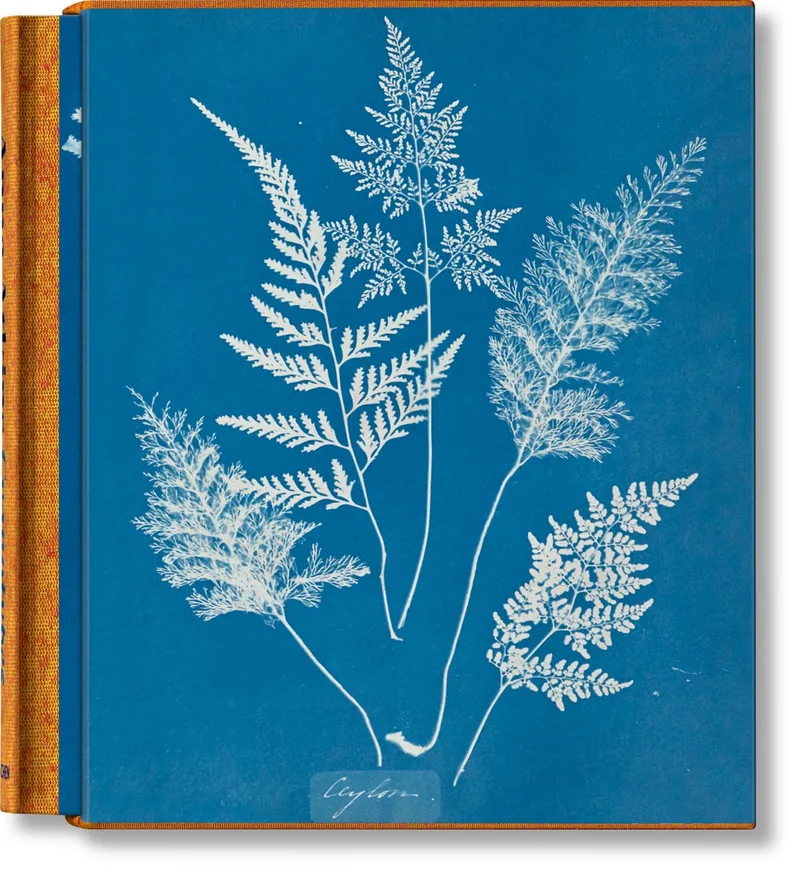 Anna Atkins von Taschen – Buchfoto