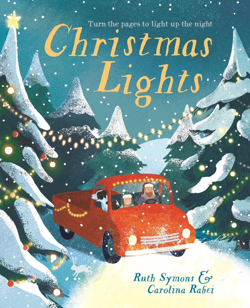 Christmas Lights von Templar Books – Buchfoto