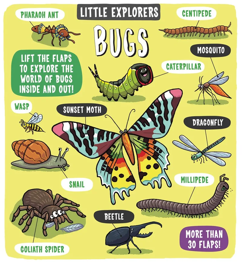 Little Explorers: Bugs fra Templar Books – billede af bogen