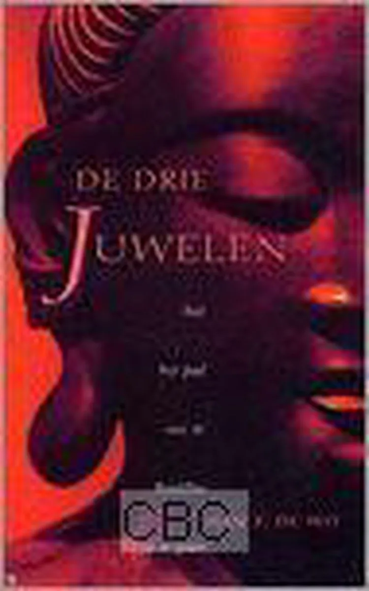 De Drie Juwelen von Ten Have – Buchfoto