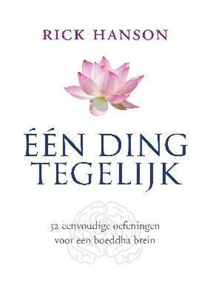 Een ding tegelijk von Ten Have – Buchfoto