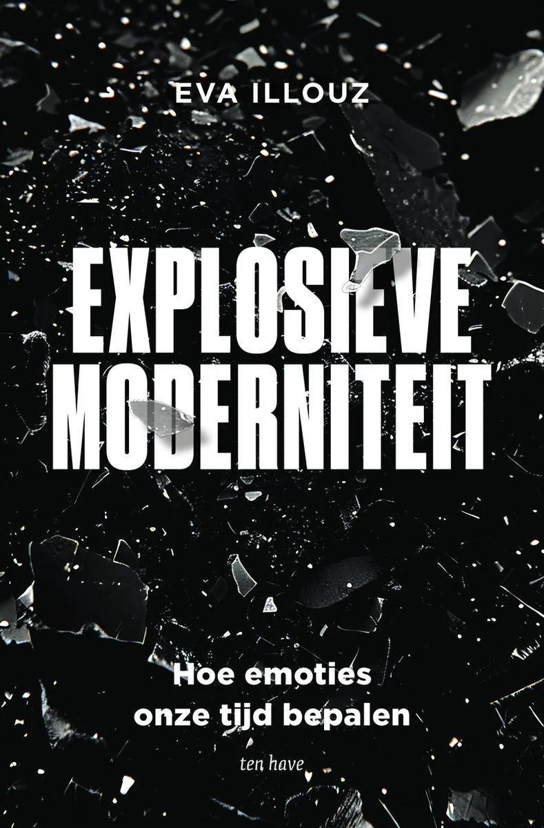 Explosieve moderniteit fra Ten Have – billede af bogen