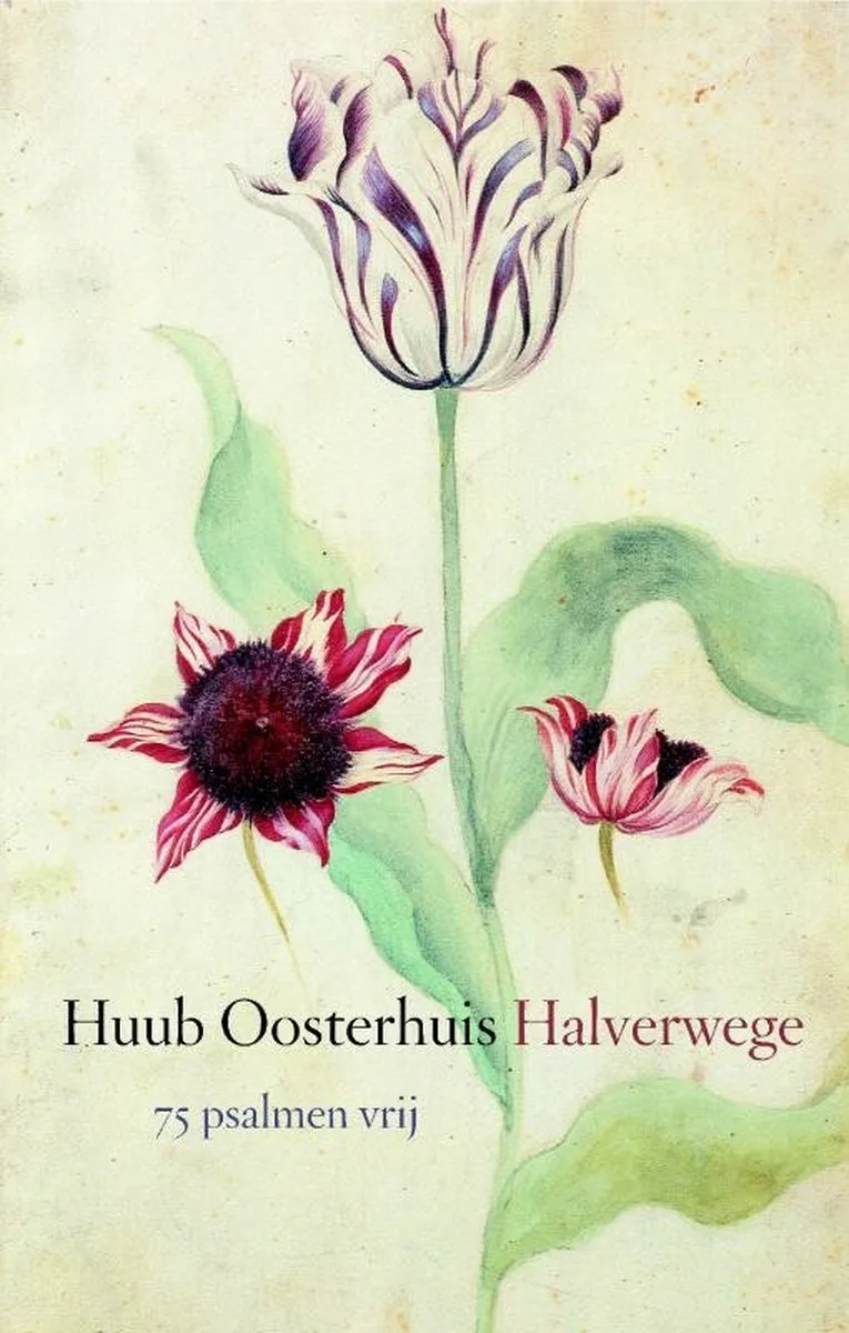 Halverwege von Ten Have – Buchfoto