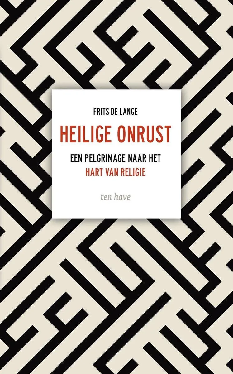 Heilige onrust fra Ten Have – billede af bogen