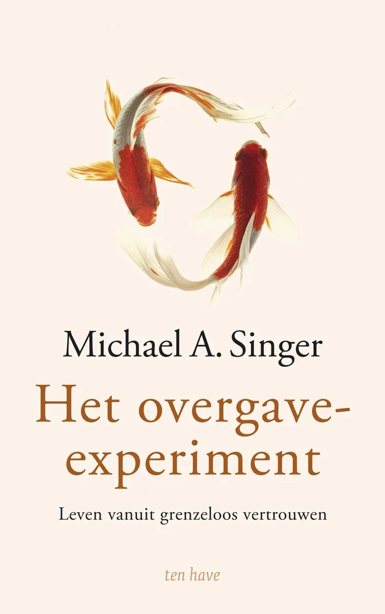 Het overgave-experiment von Ten Have – Buchfoto