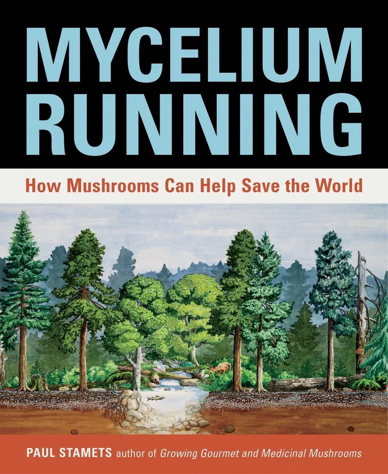 Mycelium Running von Ten Speed Press – Buchfoto