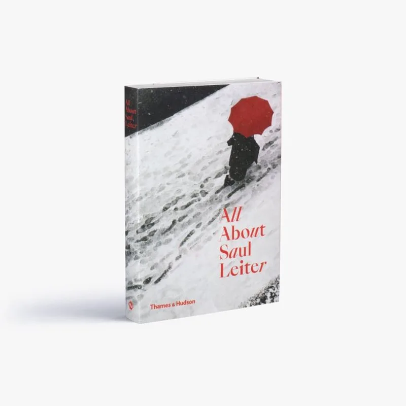 All About Saul Leiter fra Thames & Hudson – billede af bogen