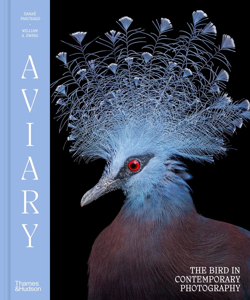 Aviary fra Thames & Hudson – billede af bogen