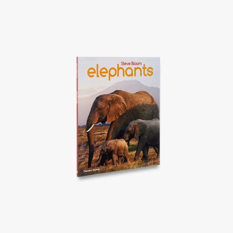 Elephants von Thames & Hudson – Buchfoto