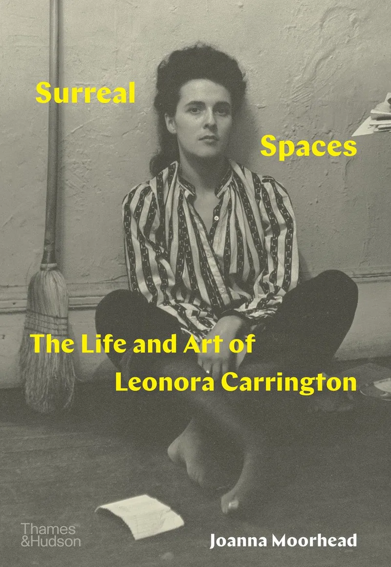 Surreal Spaces fra Thames & Hudson – billede af bogen