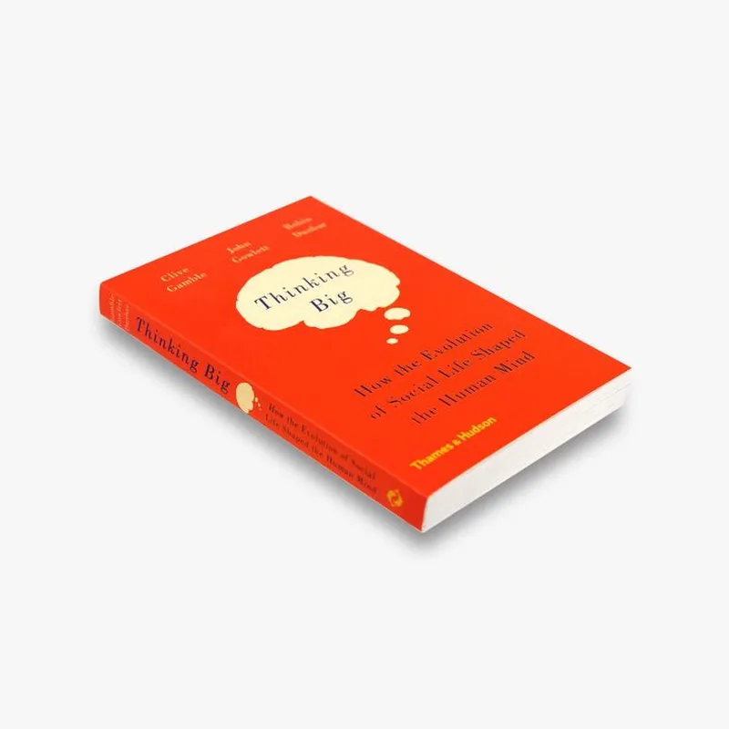 Thinking Big von Thames & Hudson – Buchfoto