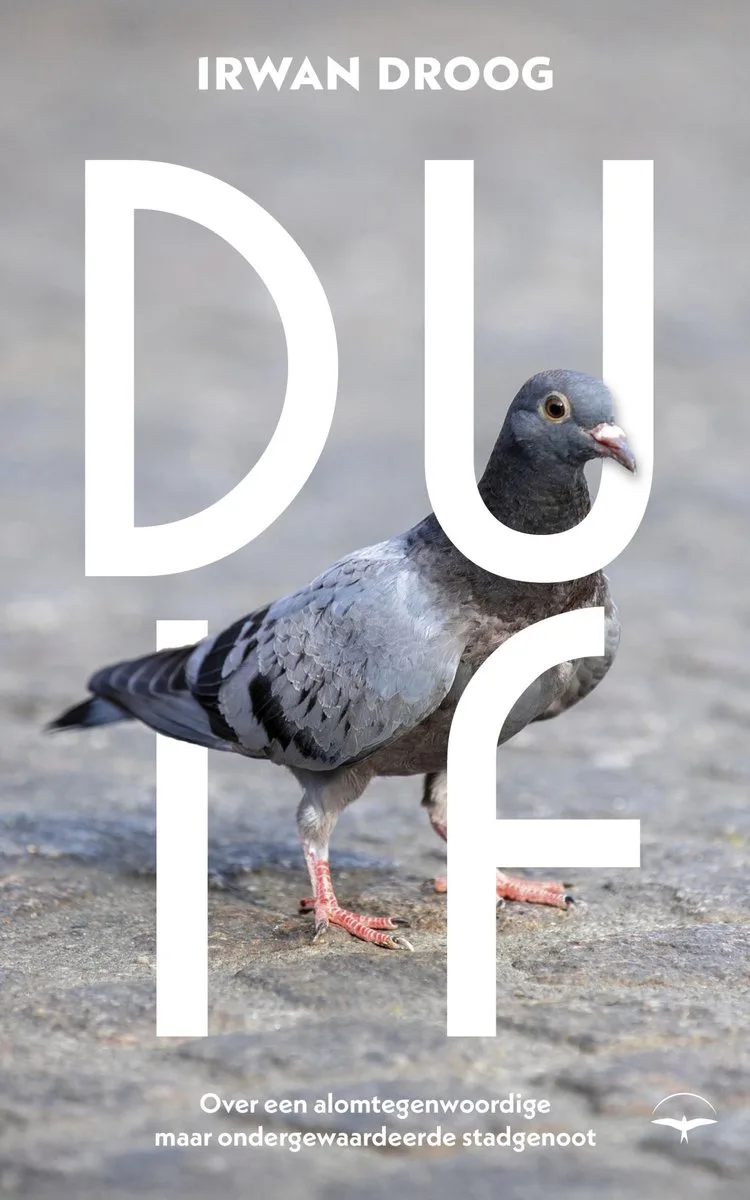 Duif van Thomas Rap – boekfoto