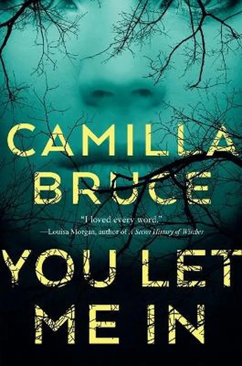 You Let Me in von Tor – Buchfoto