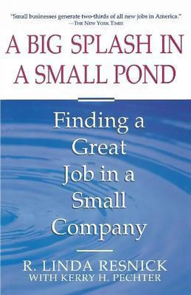 A Big Splash in a Small Pond van Touchstone – boekfoto