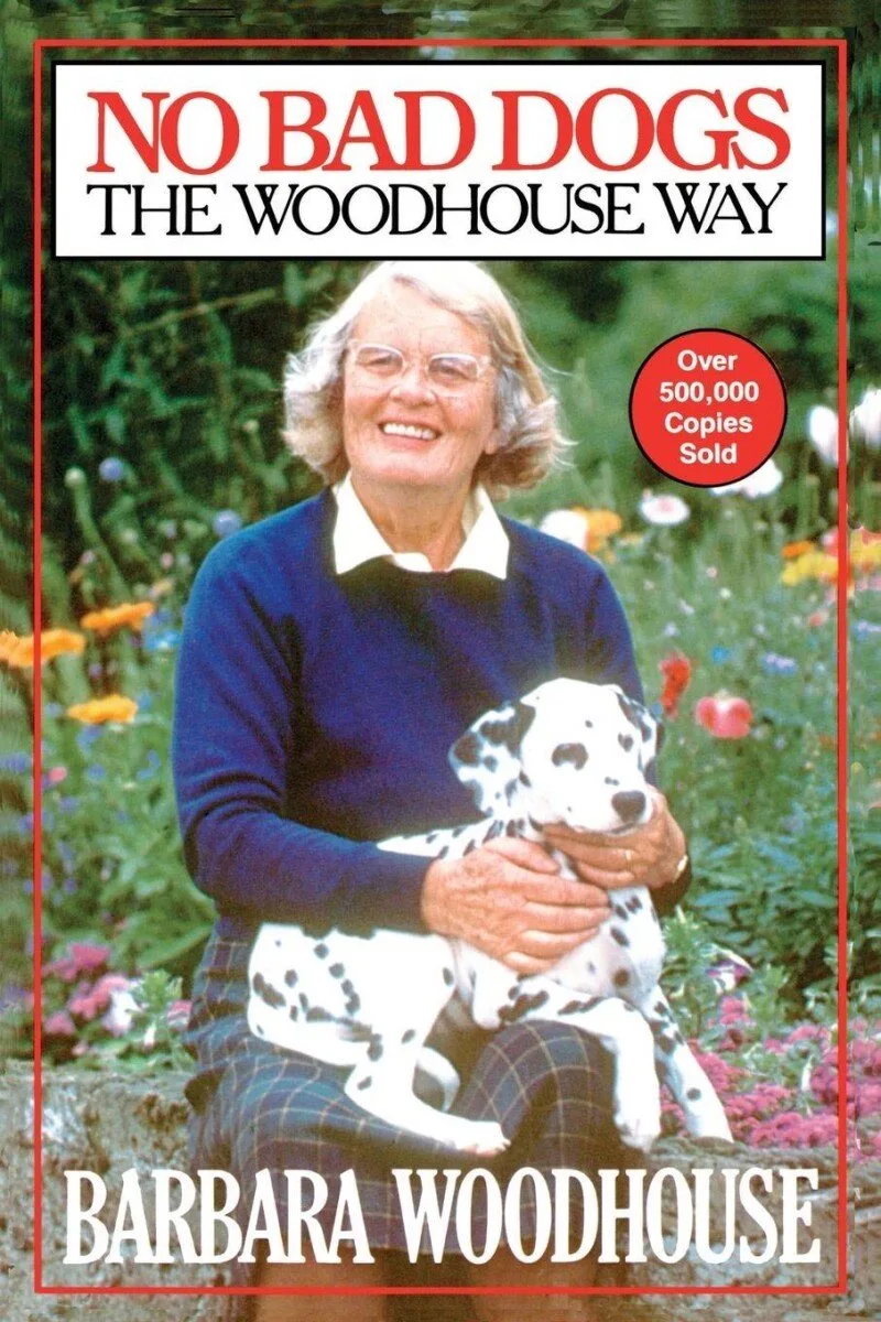 No Bad Dogs de Touchstone – photo du livre