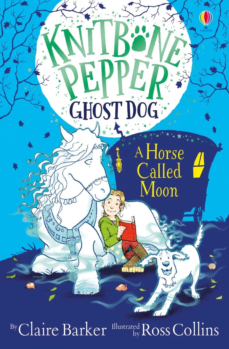 A Horse Called Moon van Usborne – boekfoto