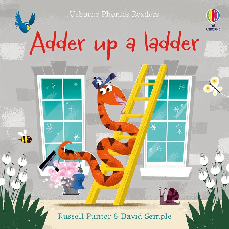 Adder up a Ladder de Usborne – photo du livre