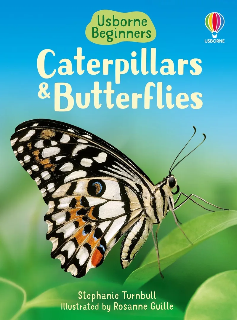 Beginner Caterpillars & Butterflies von Usborne – Buchfoto