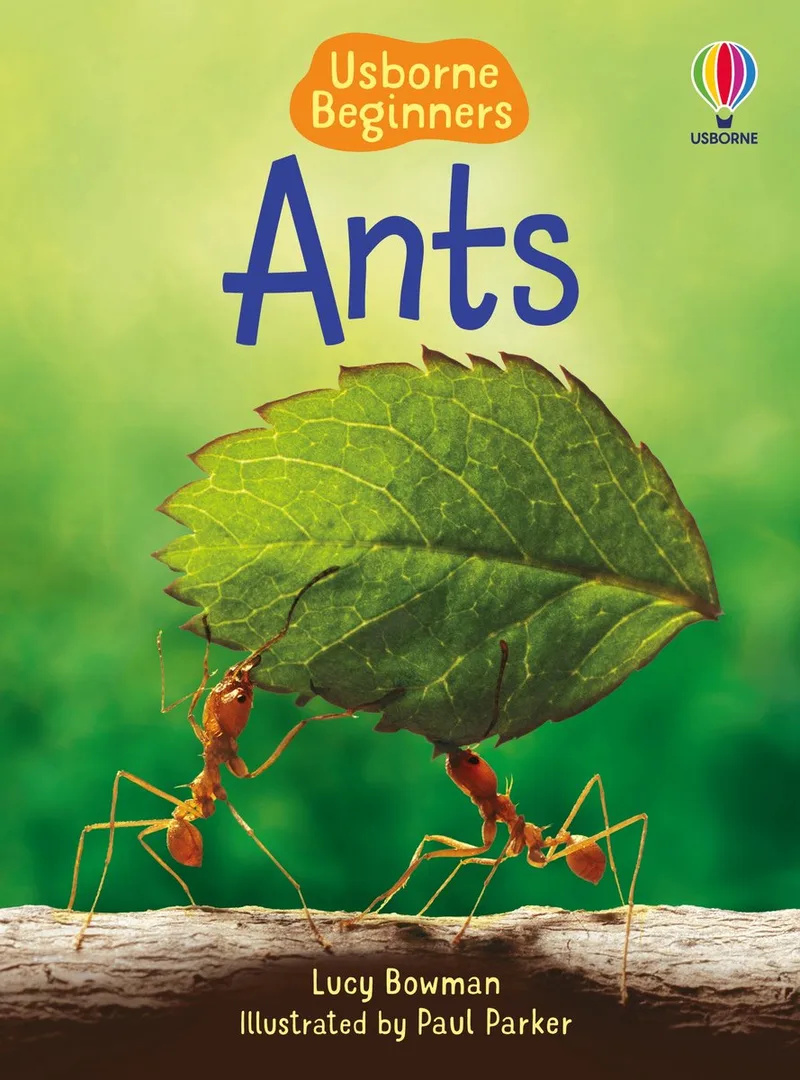 Beginners- Ants (Usborne Beginners) von Usborne – Buchfoto