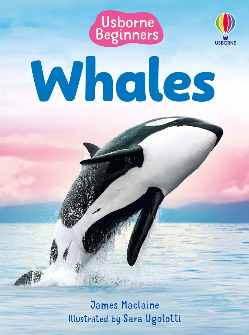 Beginners- Beginners Whales von Usborne – Buchfoto