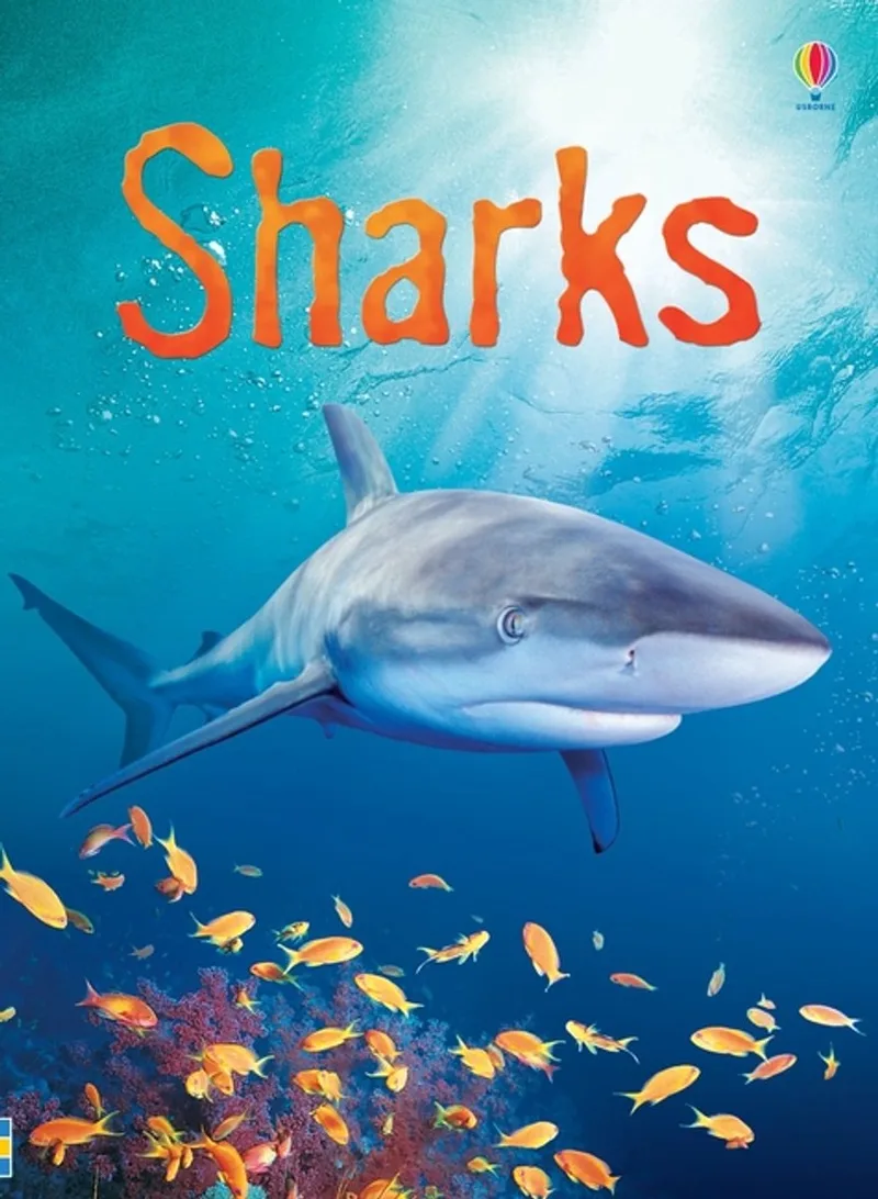 Beginners Sharks de Usborne – photo du livre
