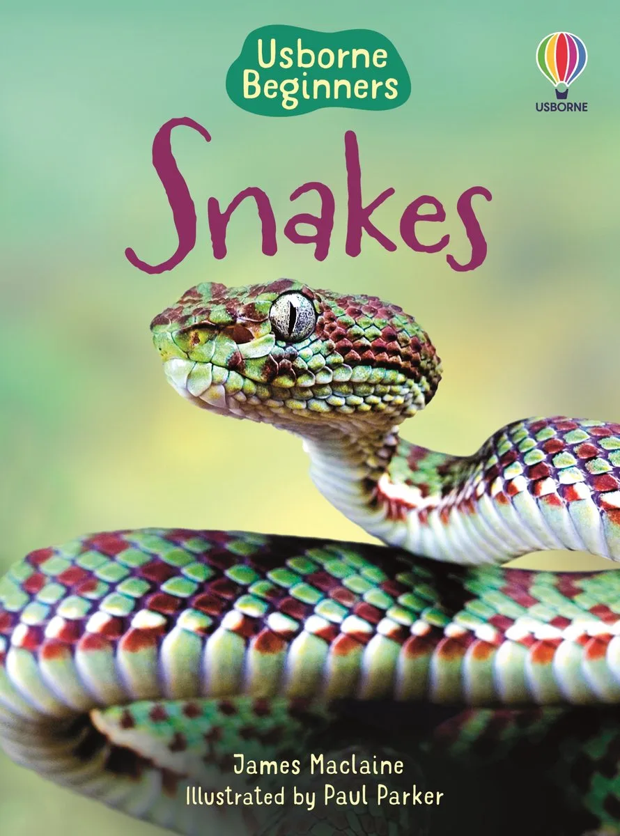 Beginners- Snakes (Usborne Beginners) von Usborne – Buchfoto