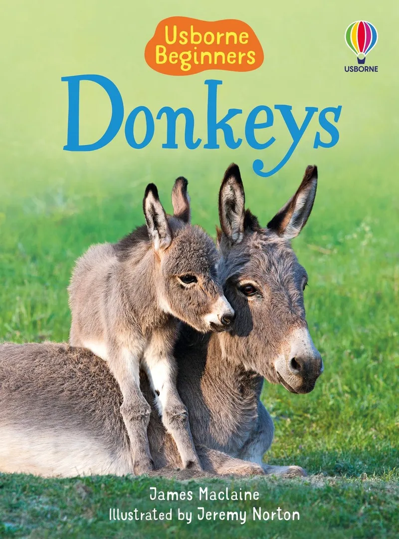 Donkeys Beginners Beginners Series von Usborne – Buchfoto