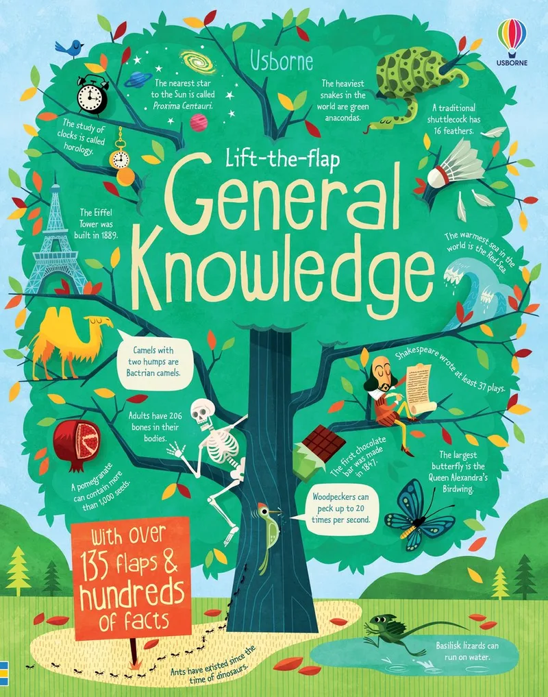 Lift-the-Flap General Knowledge von Usborne – Buchfoto