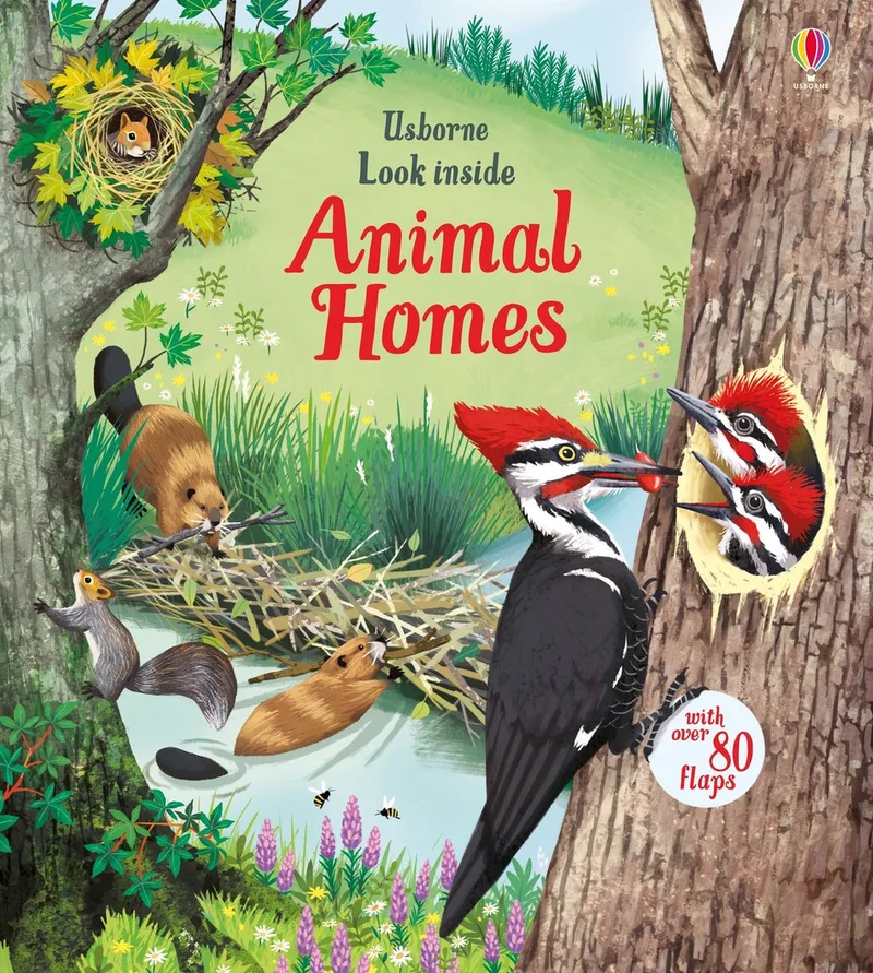 Look Inside Animal Homes von Usborne – Buchfoto
