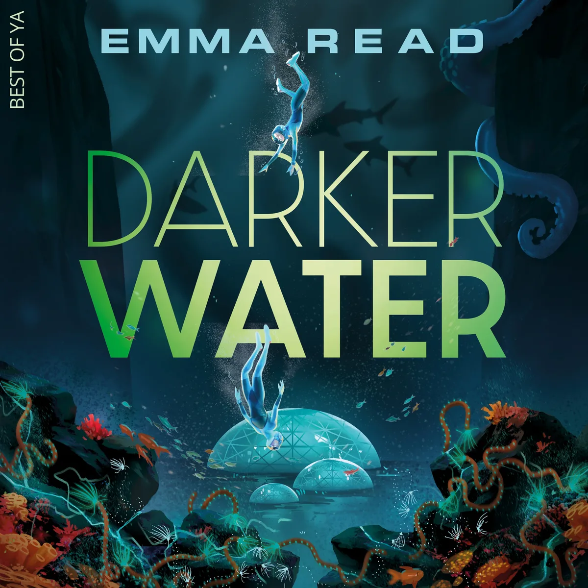 Darker Water de Van Goor – photo du livre