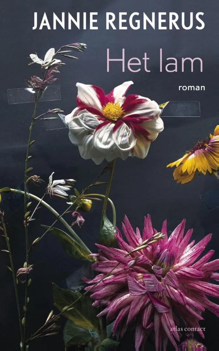 Het lam von Van Oorschot – Buchfoto