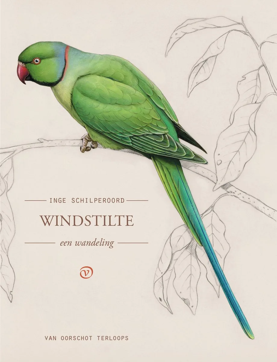Terloops - Windstilte von Van Oorschot – Buchfoto