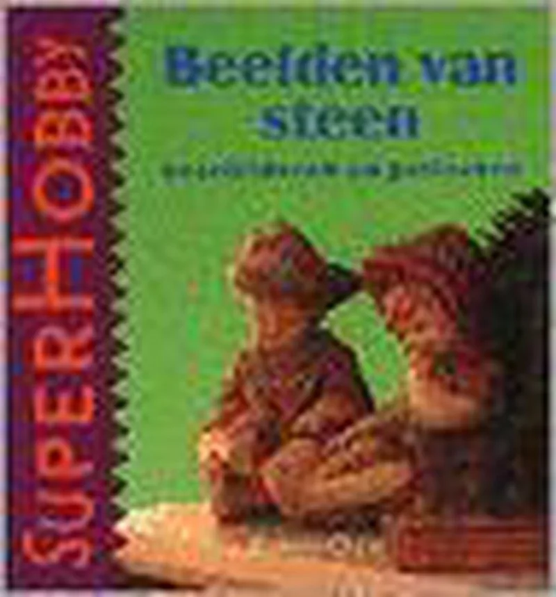 Beelden van steen de VBK – photo du livre